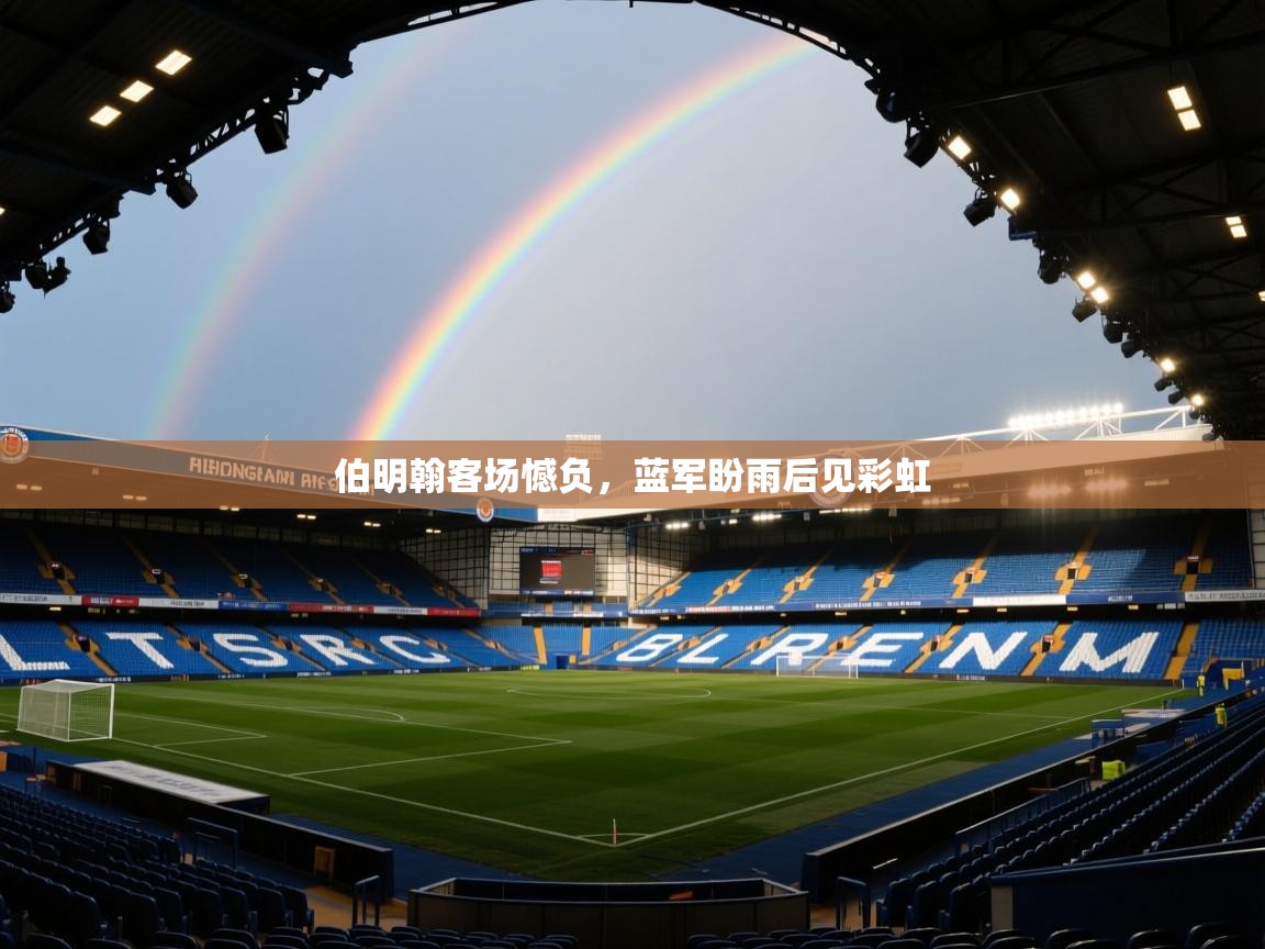 伯明翰客场憾负，蓝军盼雨后见彩虹  第1张