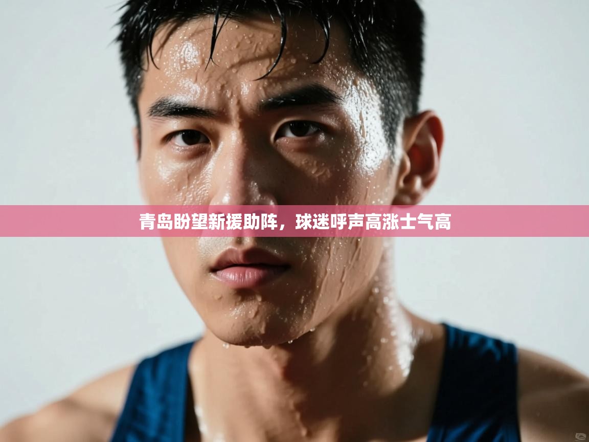 青岛盼望新援助阵,球迷呼声高涨士气高 第2张